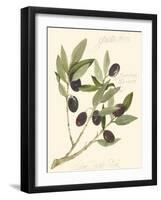 Gaeta Olives-Elissa Della-piana-Framed Art Print