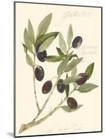 Gaeta Olives-Elissa Della-piana-Mounted Art Print