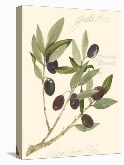 Gaeta Olives-Elissa Della-piana-Stretched Canvas