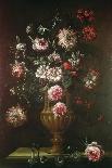 Still Life of Flowers-Gaetano Cusati-Laminated Giclee Print