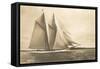 Gaff-Rigged Schooner with Multiple Jibs-null-Framed Stretched Canvas