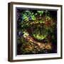 Gaia Is Watching Us-Dorothy Berry-Lound-Framed Giclee Print