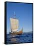 Gaia, Replica Viking Ship, Norway, Scandinavia-David Lomax-Framed Stretched Canvas