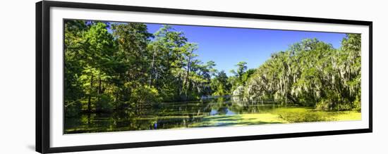 Gaia's Pond-Alan Hausenflock-Framed Premium Giclee Print