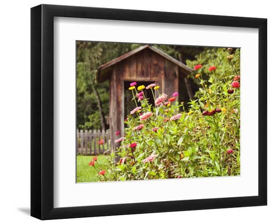 Premium Photographic Print, , large