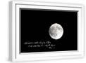 White Frame