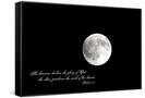 Canvas Black