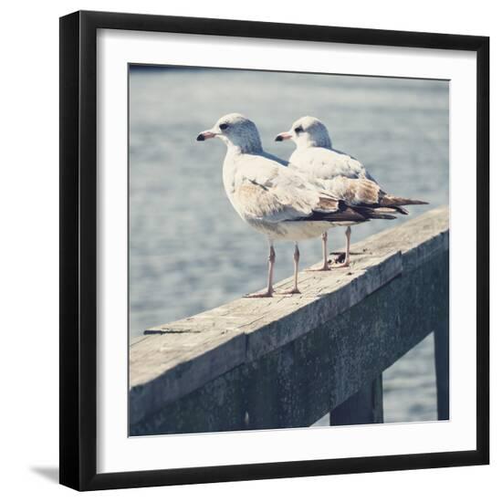 Photo, , large