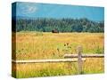 Stretched Canvas