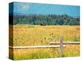 Stretched Canvas