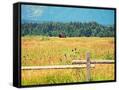 Canvas Black