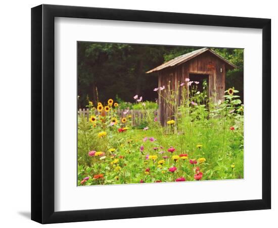 Premium Photographic Print, , large