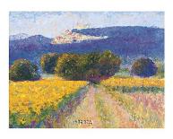 Fields of Gold-Gail Wells-Hess-Art Print