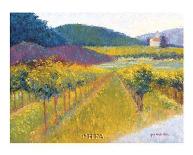 Sunflowers in Provence-Gail Wells-Hess-Art Print
