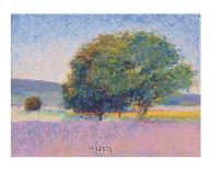 Trees in Provence-Gail Wells-Hess-Framed Art Print