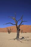 Sossusvlei Dune National Park-GailJohnson-Framed Photographic Print