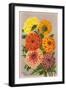 Gaillardia Perfection-null-Framed Art Print