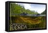 Gainesville, Florida - Alligator Underwater-Lantern Press-Framed Stretched Canvas