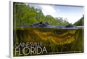 Gainesville, Florida - Alligator Underwater-Lantern Press-Framed Art Print