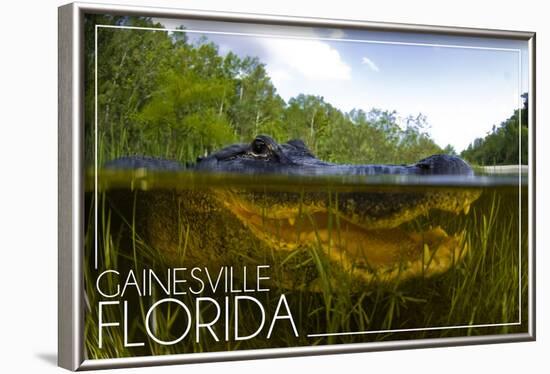 Gainesville, Florida - Alligator Underwater-Lantern Press-Framed Art Print