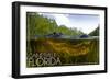 Gainesville, Florida - Alligator Underwater-Lantern Press-Framed Art Print