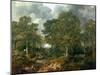 Gainsborough's Forest ("Cornard Wood"), circa 1748-Thomas Gainsborough-Mounted Giclee Print