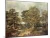 Gainsborough's Forest-Thomas Gainsborough-Mounted Giclee Print