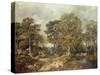 Gainsborough's Forest-Thomas Gainsborough-Stretched Canvas