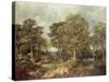 Gainsborough's Forest-Thomas Gainsborough-Stretched Canvas