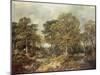 Gainsborough's Forest-Thomas Gainsborough-Mounted Giclee Print