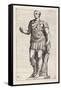 Gaius Julius Caesar Roman Emperor-null-Framed Stretched Canvas