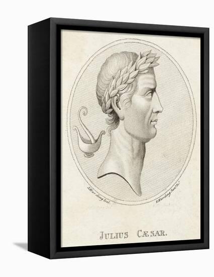 Gaius Julius Caesar Roman Emperor-Sophie Harding-Framed Stretched Canvas