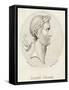 Gaius Julius Caesar Roman Emperor-Sophie Harding-Framed Stretched Canvas