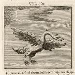 Aquila the Eagle-Gaius Julius Hyginus-Art Print