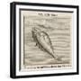 Chelsea Black