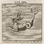 Zodiac-Gaius Julius Hyginus-Photographic Print