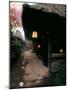 Gajo-En, an Old Farm House Used as an Inn, Kagoshima, Japan-null-Mounted Premium Photographic Print