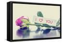 Framed Canvas