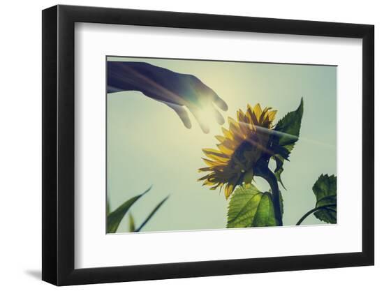 Premium Photographic Print, , large