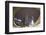 Gakuen Mode Building, Shinjuku, Tokyo, Honshu, Japan, Asia-Christian Kober-Framed Photographic Print