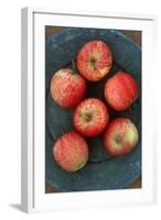 Gala Apples-Den Reader-Framed Photographic Print