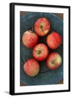 Gala Apples-Den Reader-Framed Photographic Print