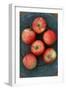 Gala Apples-Den Reader-Framed Photographic Print