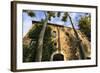 Gala Dali Castle Museum facade amidst tall trees, medieval home of Salvador Dali, Pubol, Baix Empor-Eleanor Scriven-Framed Photographic Print