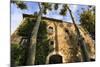 Gala Dali Castle Museum facade amidst tall trees, medieval home of Salvador Dali, Pubol, Baix Empor-Eleanor Scriven-Mounted Photographic Print