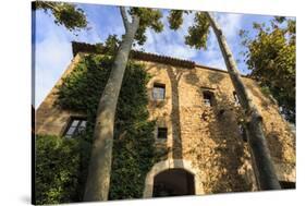 Gala Dali Castle Museum facade amidst tall trees, medieval home of Salvador Dali, Pubol, Baix Empor-Eleanor Scriven-Stretched Canvas