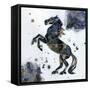 Galactic Horse-Lauren Moss-Framed Stretched Canvas