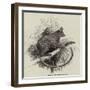 Galago-null-Framed Giclee Print