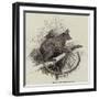 Galago-null-Framed Giclee Print