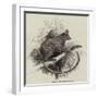 Galago-null-Framed Giclee Print